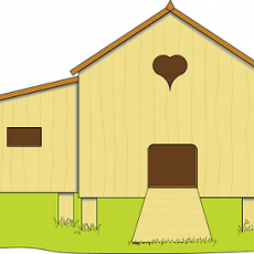 Choosing a Chicken Coop-What You Need to Know
