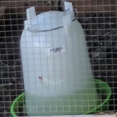 Best 5 Baby Chick Waterers- Fresh, clean water is vital for the health of your chicks