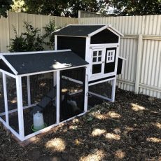 How to Clean Out a Chicken Coop