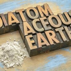 How to use Diatomaceous Earth for Chickens