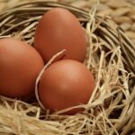 Fresh Eggs